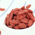 Import goji berries Chinese dried goji berry Ningxia dried goji berry for sale